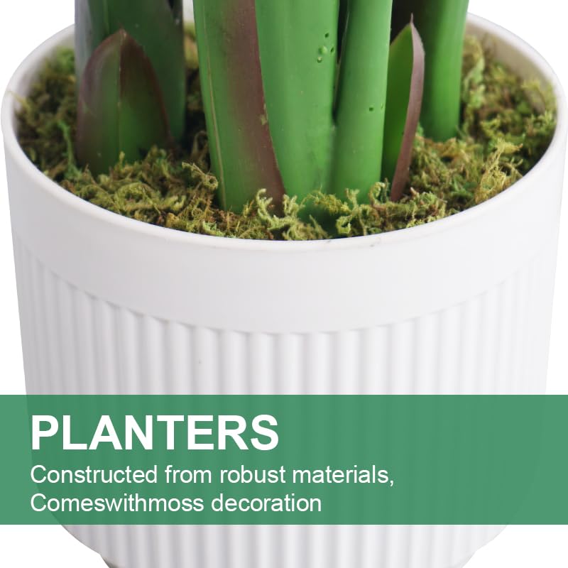 Bird of Paradise Plant Artificial 6ft,Faux Plants Indoor Tall with 12 Trunks - The Perfect Indoor Silk Floor Plant for Home Decor in Living Room, Office, and Bedroom (6FT Bird of Paradise)