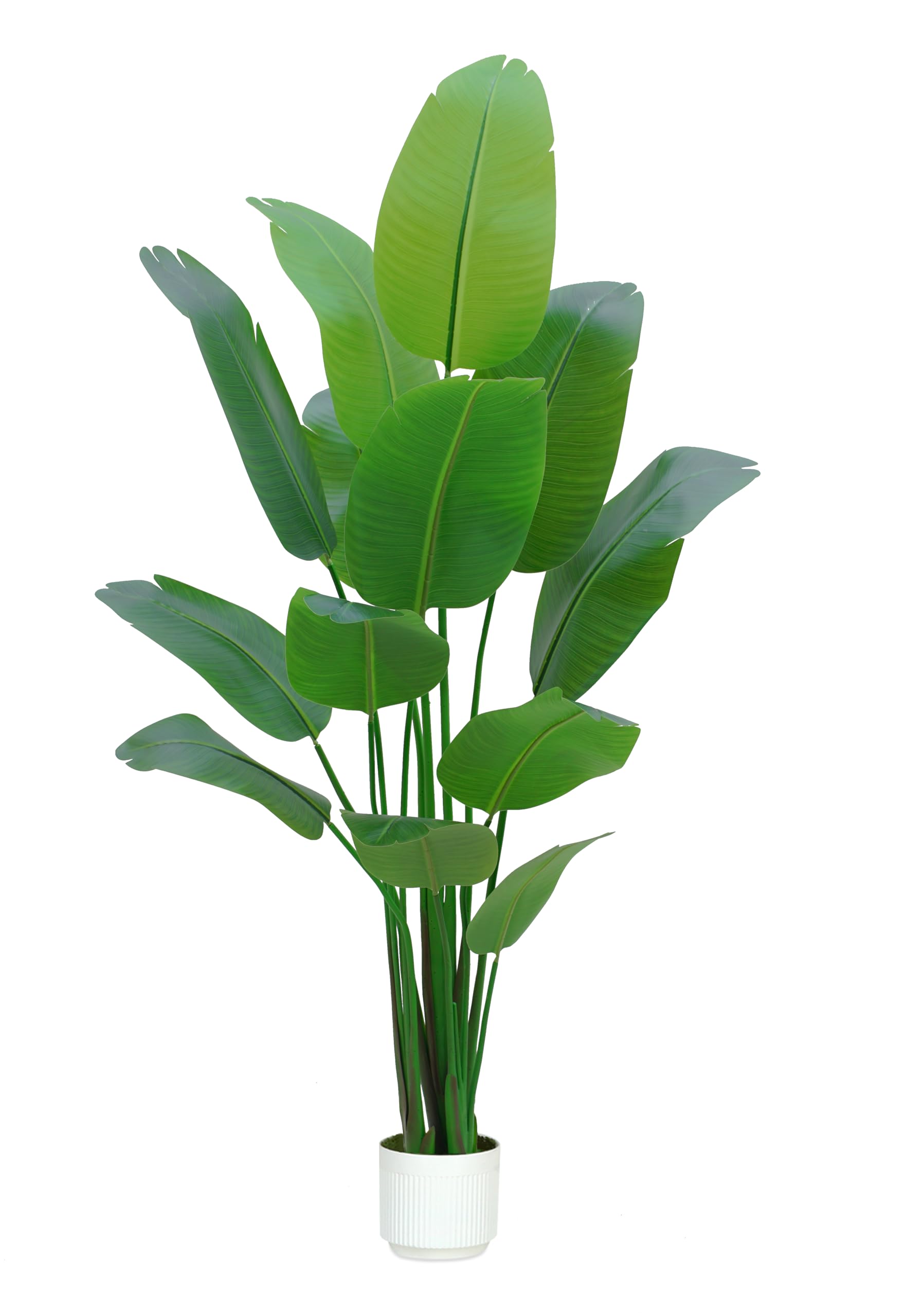 Bird of Paradise Plant Artificial 6ft,Faux Plants Indoor Tall with 12 Trunks - The Perfect Indoor Silk Floor Plant for Home Decor in Living Room, Office, and Bedroom (6FT Bird of Paradise)