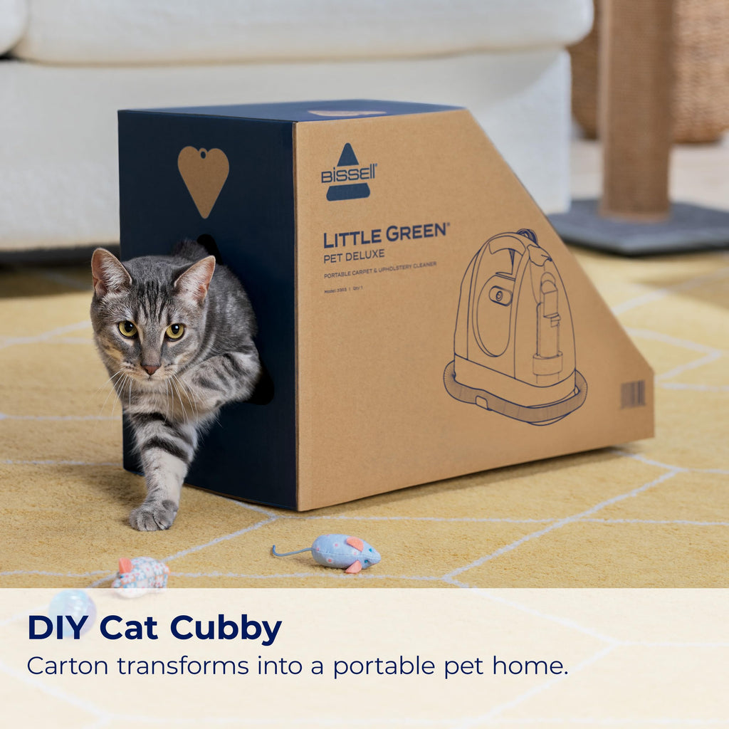 BISSELL Little Green Mini Portable Carpet and Upholstery Deep Cleaner, Car/Auto Detailer, with HydroRinse Self-Cleaning Tool and 4" Tough Stain Tool, Tea Green, 4075