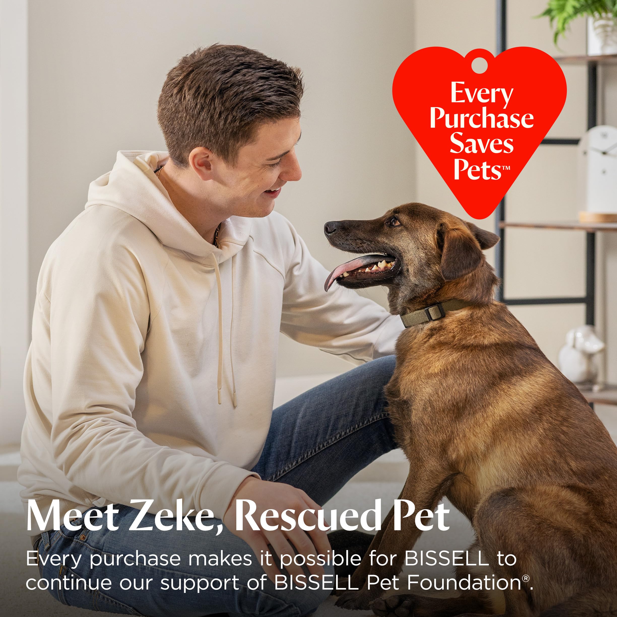 BISSELL Little Green Mini Portable Carpet and Upholstery Deep Cleaner, Car/Auto Detailer, with HydroRinse Self-Cleaning Tool and 4" Tough Stain Tool, Tea Green, 4075