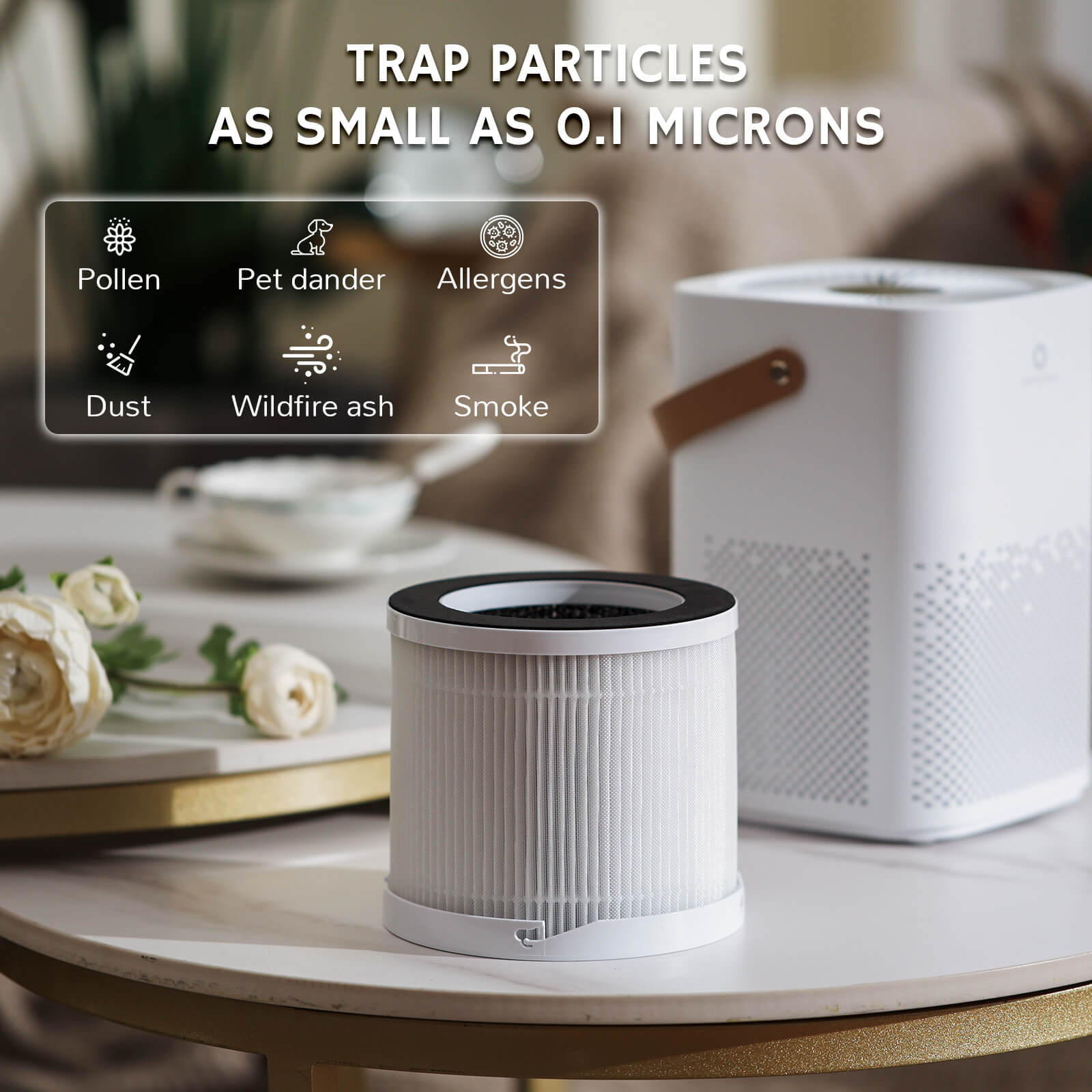Day Dawning ADH70 Desktop Air Purifier