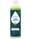 Carpet & Upholstery Shampoo